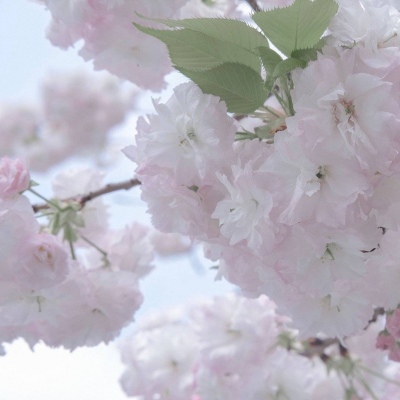 Furry赛博风格设计技巧兽圈群